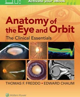 Anatomy of the Eye and Orbit Online Sale