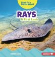 Rays Hot on Sale