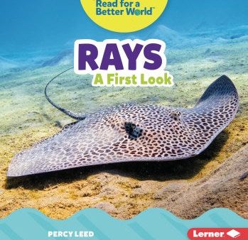 Rays Hot on Sale