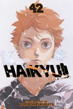 Haikyu Vol 42 For Cheap