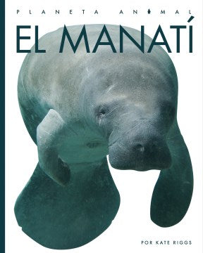 El manat?  Manatees Online Sale